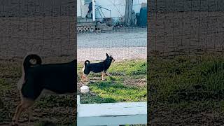 Download lagu - mp3 Download lagu - mp3