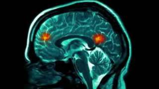 Siouxsie and the Banshees - This Unrest