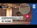 Honderden dode vogels op straat in Rome
