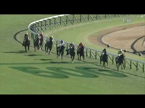2022.11.27 2yo Maiden (JPN) - Revoltade