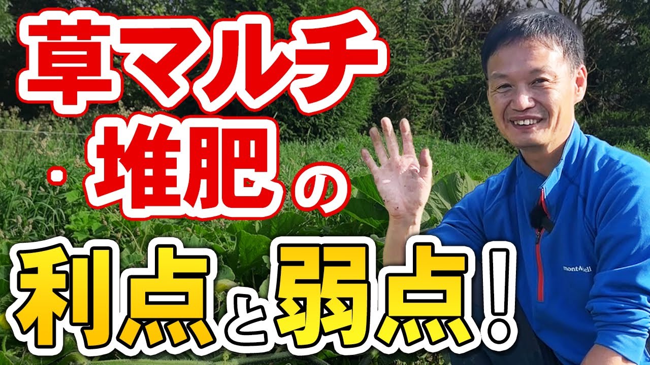 堆肥と草マルチの正しい役割と使い方