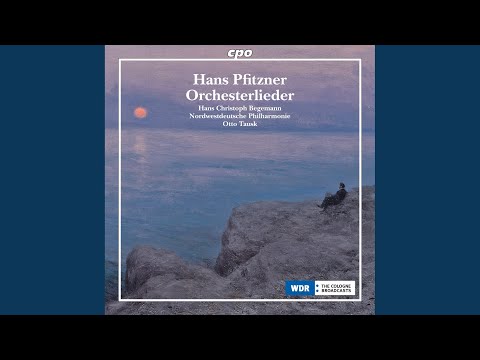 6 Lieder, Op. 40 (text by M. Greif) : 6 Lieder, Op. 40: No. 5, Wanderers Nachtlied