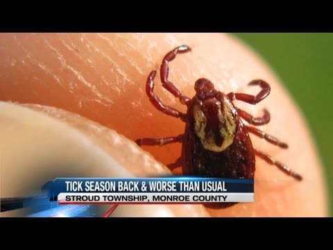 An Uptick in Tick Bites - PA WBRE 27-04-2017