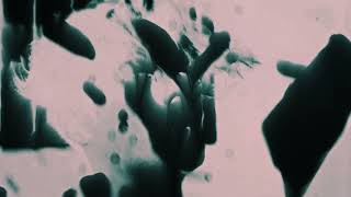 Download lagu Jackson Wang - High Alone mp3