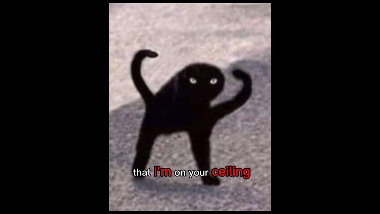 Hehehe..😈 #Catmemes #Cat #Funny #fypシ゚viral