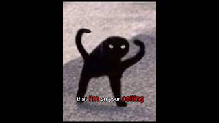 Download lagu Hehehe..😈 #Catmemes #Cat #Funny #fypシ゚viral mp3