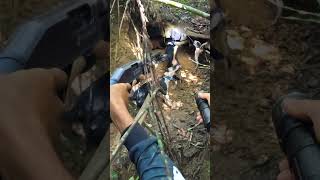 DISPARO ARRISCADO! #javalibrasil #caçadejavali #hunter #hunting  #wildboar