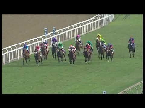 20190706 Greyville express clip Race 6  won by EDEN ROC