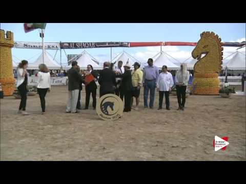 1st place N.64 KLASSICAL DREAM MI - Menton 2015 - Senior Female Championship (Class 15)