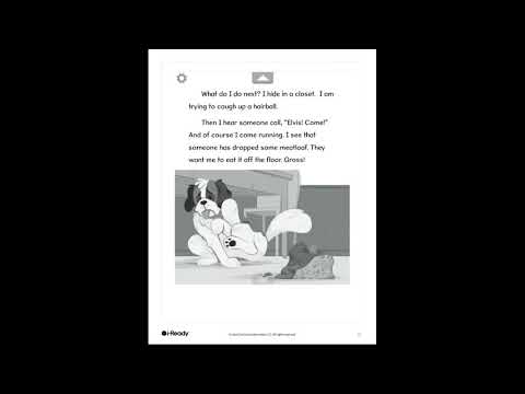 The Secret Life of Elvis