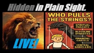 Video: Emerging CBDC and Demise of Monetary System
| Gregory Mannarino
