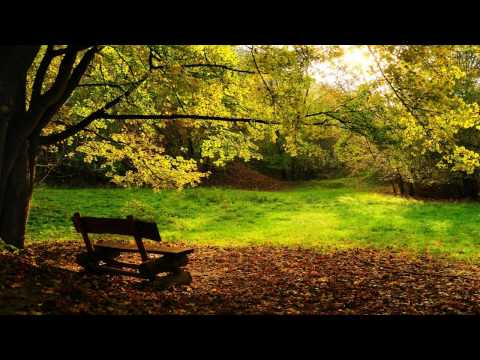 Sky Motion - Autumn Dreams (SoundLift Remix) HD