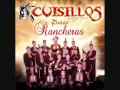 BANDA CUISILLOS MIX RANCHERO