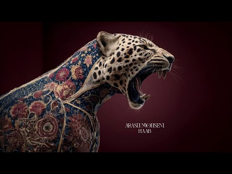 Arash Mohseni - Haab