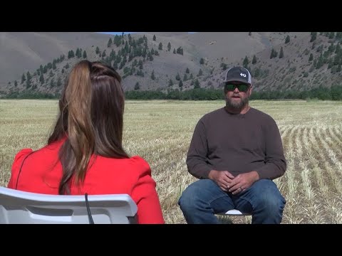 Former Detroit Lions Casey FitzSimmons discusses new NFL tech to reduce concussions