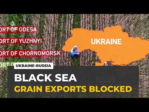 Trapped grain: Ukraine searches for ways around Black Sea shutdown