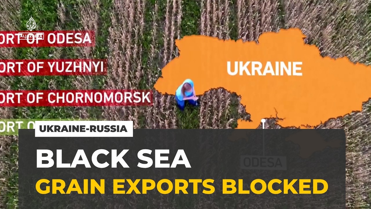 Trapped grain: Ukraine searches for ways around Black Sea shutdown