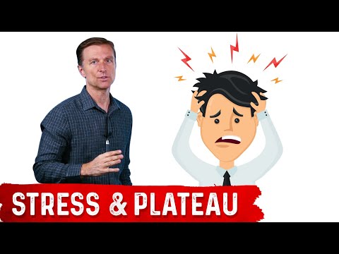 What is a Ketone Explained By Dr Berg