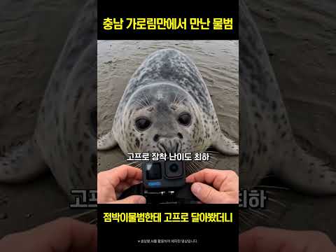 충청남도 AI 숏폼·바이럴 사례