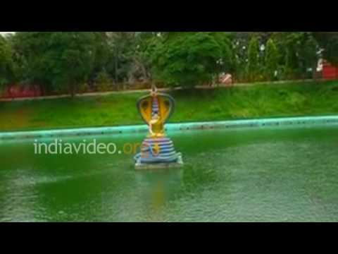 Bodh gaya video