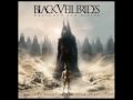 Black Veil Brides Lost It All