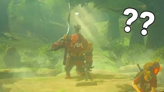 Getting a Yiga to Pull the Master Sword! | Zelda: Breath of the Wild