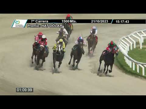 231021 C 07 - TODA UNA VIDA - HIPODROMO LAS PIEDRAS