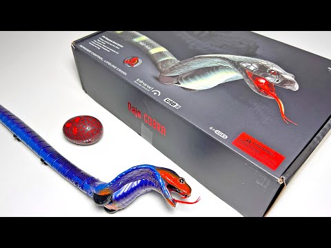 Remote Control King Cobra