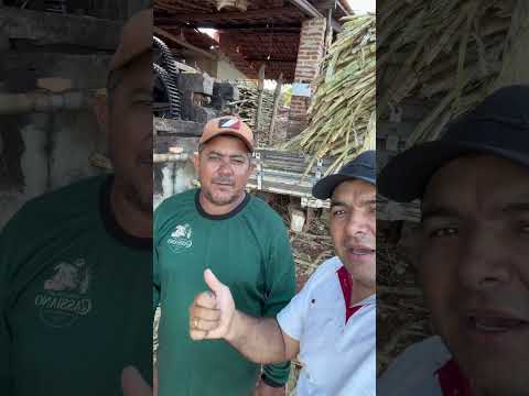 DIAS DE MOAGEM NA MALHADA ACOPIARA CEARÁ