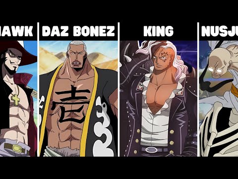 EVERY Zoro Fight in One Piece Explained!