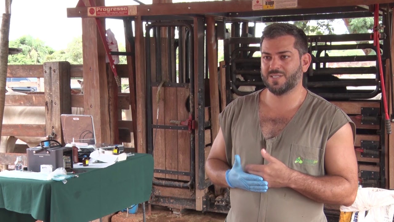 Processo de fertilização in vitro (FIV) - Parte 3