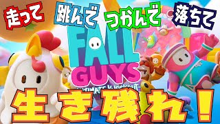 ちびっこ運動会はじめました【FALL GUYS】