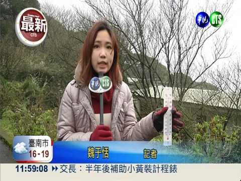 寒流來襲! 陽明山鞍部僅3度