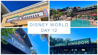 WALT DISNEY WORLD & FLORIDA VLOG - SEPTEMBER 2022 - DAY 12 - OUTLET SHOPPING & ANIMAL KINGDOM