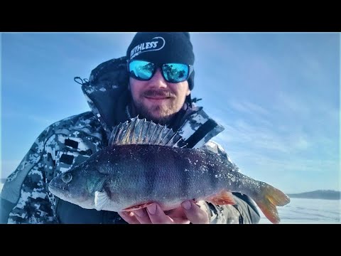 PILKILLÄ | KIRKKAALTA JÄRVELTÄ RUOKAKOON AHVENTA | 2D KAIKULUOTAIN PILKINTÄÄ!