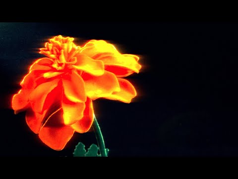 Video thumbnail for El Mero Cero