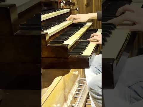 A Single Trumpet Fills the Cathedral | Silent Night