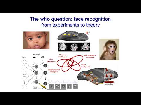 Lecture 0: Tomaso Poggio - Introduction to Brains, Minds, and Machines