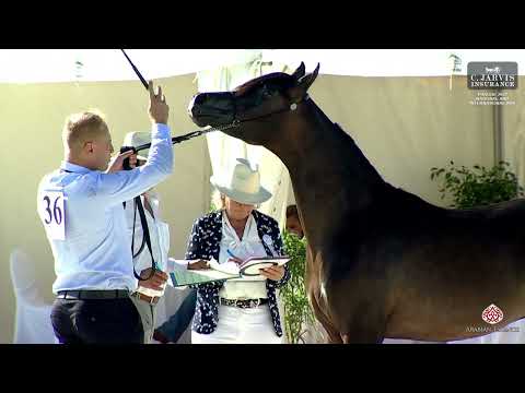 Prague  2023 Intercup   Class 5