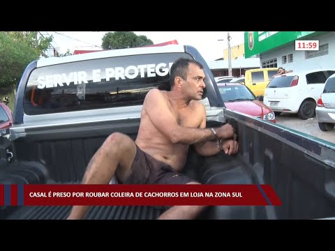 Casal é preso por roubar coleira de cachorros em loja na zona sul 18 07 2022