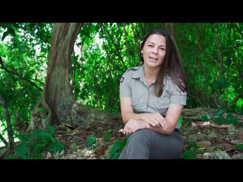 Mujeres Guardaparques: Historia Yeimy Cedeño Solís