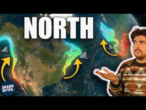 Is This The Year White Sharks Finally Claim Northern Water?