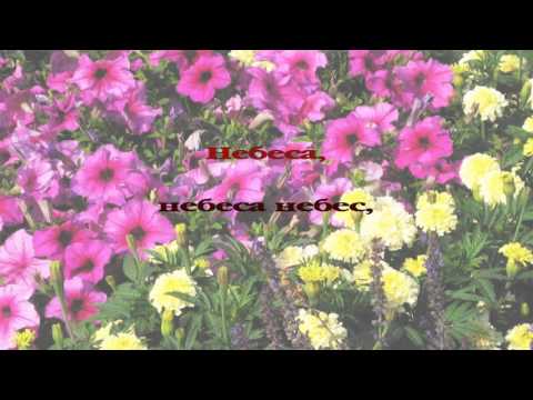 282 Небеса, небеса небес!