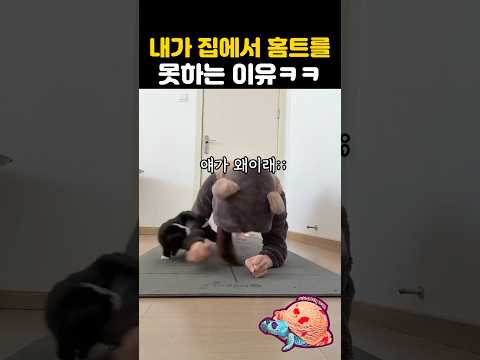 내가 집에서 홈트를 못하는 이유