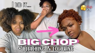 BIG CHOP ON HEAT DAMAGED HAIR 😭 + bleaching & dying my hair ginger!