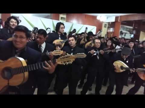 Pandillero Bandido - Lira PUNO