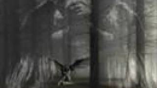 after forever-ex cathedra