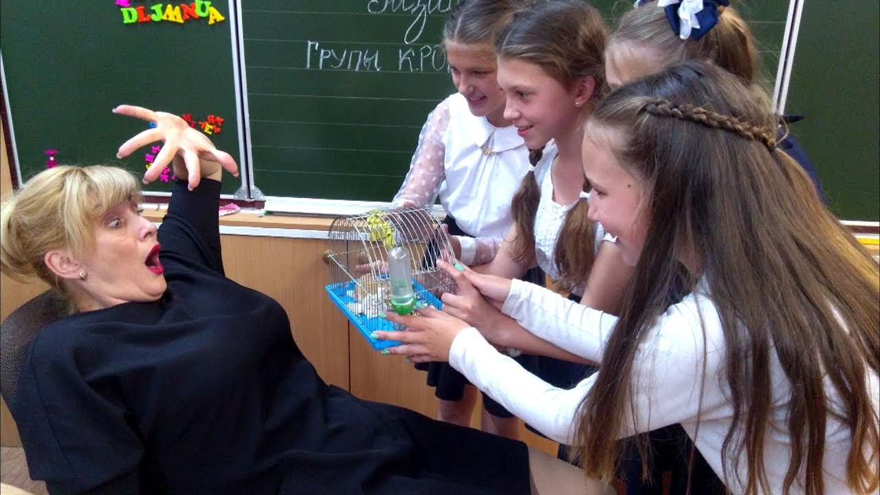 Урок был сорван. Аня разозлила училку даниэль. Урок был сорван. Пранк дистанционное обучение. Сорвал урок.