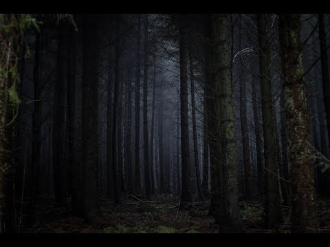 DEEP TECHNO 2019-04-02 RNDMTCHN