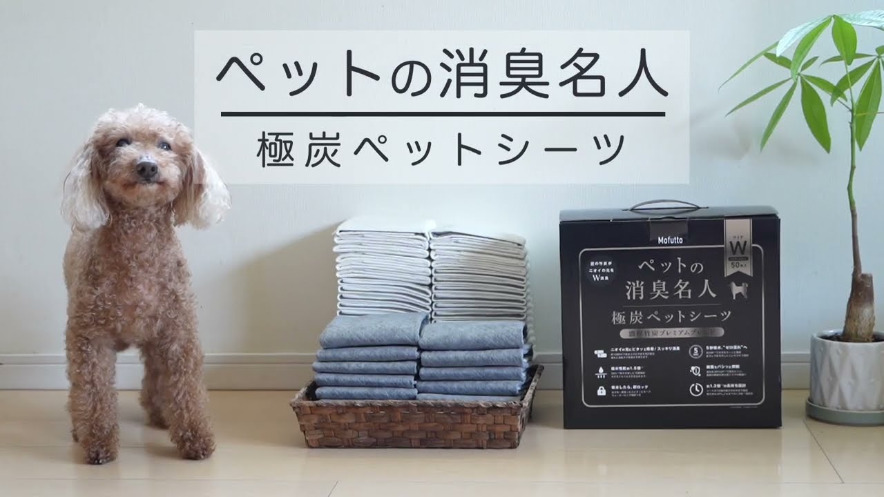 ペット用品の商品動画事例｜吸収力を魅せる比較演出